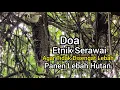 Download Lagu Doa Agar Tidak Disengat Lebah l Panen Lebah Hutan