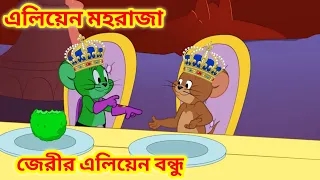 tom and jerry bangla cartoon chintu dub