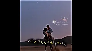 الفنان عباس سحاگی 