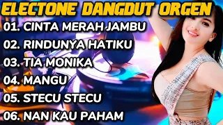 dangdut cinta merah jambu rindunya hatiku tia monika mangu stecu stecu dangdut electone