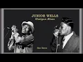 Junior Wells - Shotgun Blues  (New Stereo)