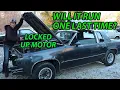 ABANDONED Cutlass Sitting 15 Years WILL IT RUN AGAIN