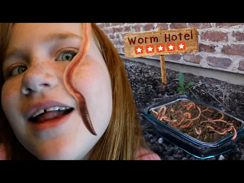 Download MP3 Welcome to our WORM HOTEL!! Adley Finds the Longest Worms, Niko Cooks with Dad & Fun Family Crafts