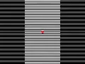 DO NOT BLINK Focus On The Red Dot In The Center