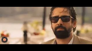 زهرة   حيطة آمل   دندنها