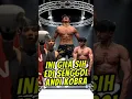 Download Lagu ANDI KOBRA DI SENGGOL NETIZEN🔥#boxing #andicobra #byoncombat#hss