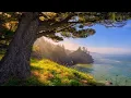 Killigrew | Sacred Earth