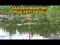 Download Lagu trik anti gagal mancing ikan nila lakukan cara ini di jamin strike terus