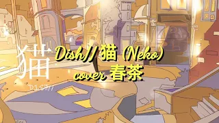 Download DISH// - 猫 (Neko) Cover 春茶 LYRICS ROMAJI MP3