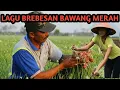Download Lagu LAGU BREBESAN [BREBES KOTA BAWANG]
