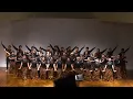 Download Lagu Manuk Dadali (arr. Amillio Fahlevi) – Fabavossa Youth Choir