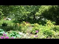 Spring in full bloom