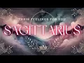 Download Lagu BOOGSCHUTTER tarot ♐️ Ze weten niet hoe ze moeten communiceren Boogschutter, maar ..