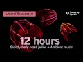 Download Lagu 12 Hours Of Bloody-Belly Comb Jellies + Ambient Music To Vibe With | Littoral Relaxocean