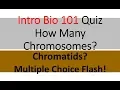 Count Chromosomes and Chromatids Correctly - Multiple Choice Quiz Flash