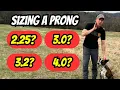 How to Fit a Herm Sprenger Prong Collar---What Size Collar Do You Need
