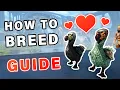 Ark Breeding Guide Explained Ark Survival Evolved