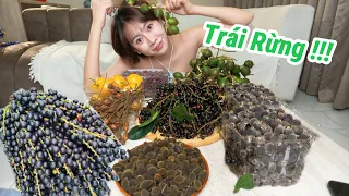 Những loại trái rừng lạ (Phần 2) - Bạn đã từng ăn trái nào ???
