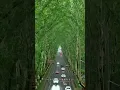 Download Lagu 🥰 What A Wonderful Place 😍 // kay mst place he yar 🥰  4 #trending #tiktok #viral #shorts #short
