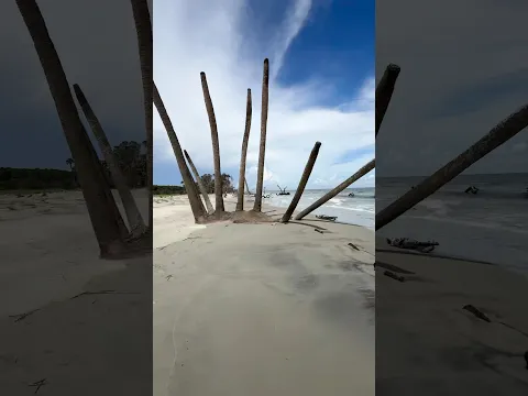 Run until: human