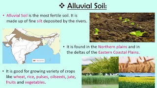 Soils Of India CBSE SST EVS Class 4 