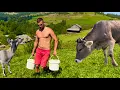 Download Lagu Een zware dag voor een jongeman, aardappelen plukken onder de brandende zon in de bergen