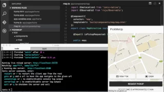 Ionic 2 - Uber App
