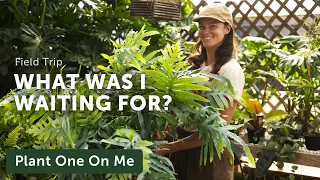 I Can’t Believe I Waited 6 YEARS to Visit This PLANT SHOP & GARDEN CENTER — Ep. 445
