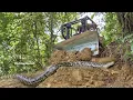 Download Lagu UNSTOPPABLE BEAST: Bulldozer Tears Through Rainforest for NEW ROAD (Effortless!)