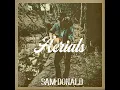 AERIALS (Acoustic) - Sam Donald