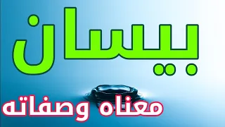 معنى اسم بيسان وصفات من تحمل هذا الاسم    دندنها