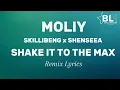 Download Lagu Shake It To The Max (Remix) Lyrics - Moliy ft Skillibeng, Shenseea and Silent Addy
