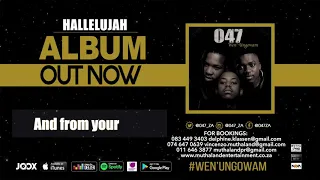 047 hallelujah official audio 
