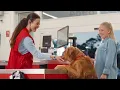 Spring Projects Tractor Supply is here to help with everything you need to get started