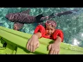 Lagu went SWiMMiNG with SHARKS!!  Adley \u0026 Mom got in shark water! family boat ride to find ocean animals