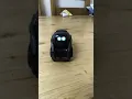 Vector dances