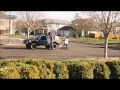 CRAZY BMX: BRAINDEAD CREW: THROWAWAY