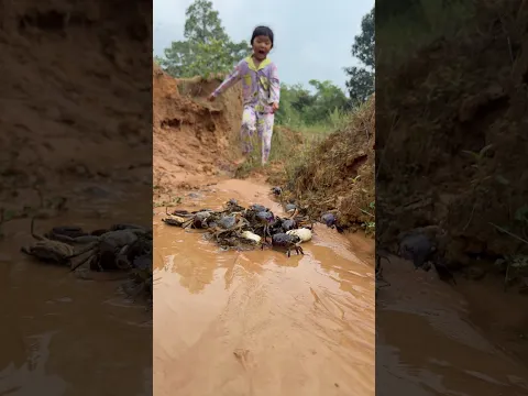 Survival Skills: Smart and Useful with Crabs in forest #survival #bushcraft #outdoors