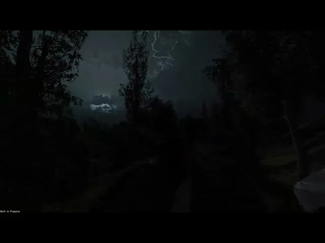 Stalker2-OC internal devtest 12.24.2024 (A24)