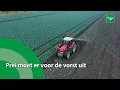 Download Lagu Prei moet er voor de vorst uit