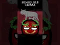 Download Lagu Roman Empire – countryballs edit