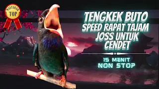 tengkek buto 15 menit nonstop masteran tengkek buto buat cendet