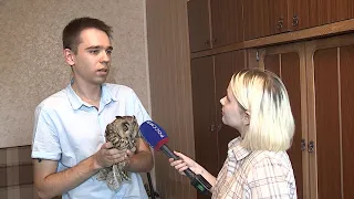 Омич спас сову, найденную на дороге
