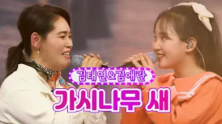 클린버전 김태연 김애란 가시나무 새 화요일은 밤이 좋아 18화 TV CHOSUN 220405 방송 