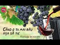 Download Lagu PETRECERE - CÂND O FII MAI RĂU, AŞA SĂ FIE - FORMAŢIA MODERN