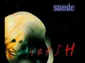 Suede Trash + lyrics