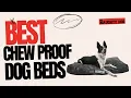 Best Chew Proof Dog beds - Top 5 things to consider