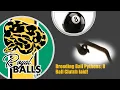 Breeding Ball Pythons 8 Ball Clutch