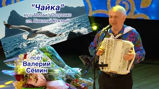 Песня "ЧАЙКА" 🔥🔥🔥 Поёт Валерий Сёмин 🔥🔥🔥 Концерт в Ростове-на-Дону, июнь 2026 год