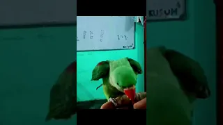 Watch Full Video Link In Description Https Youtu Be FHb9mQrEy7A Si VpA RmUCH9UIGdP 